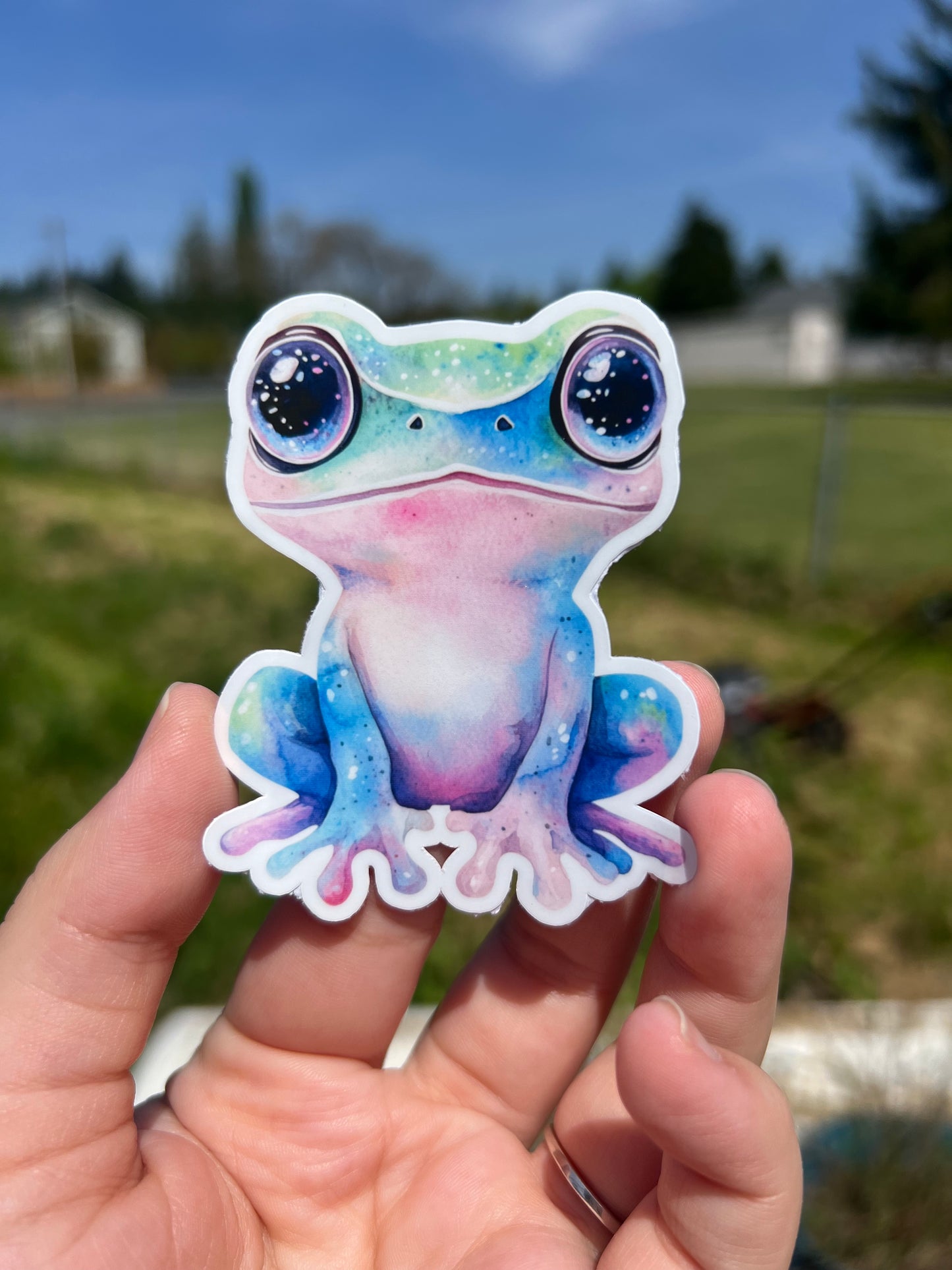 Cosmic Frog