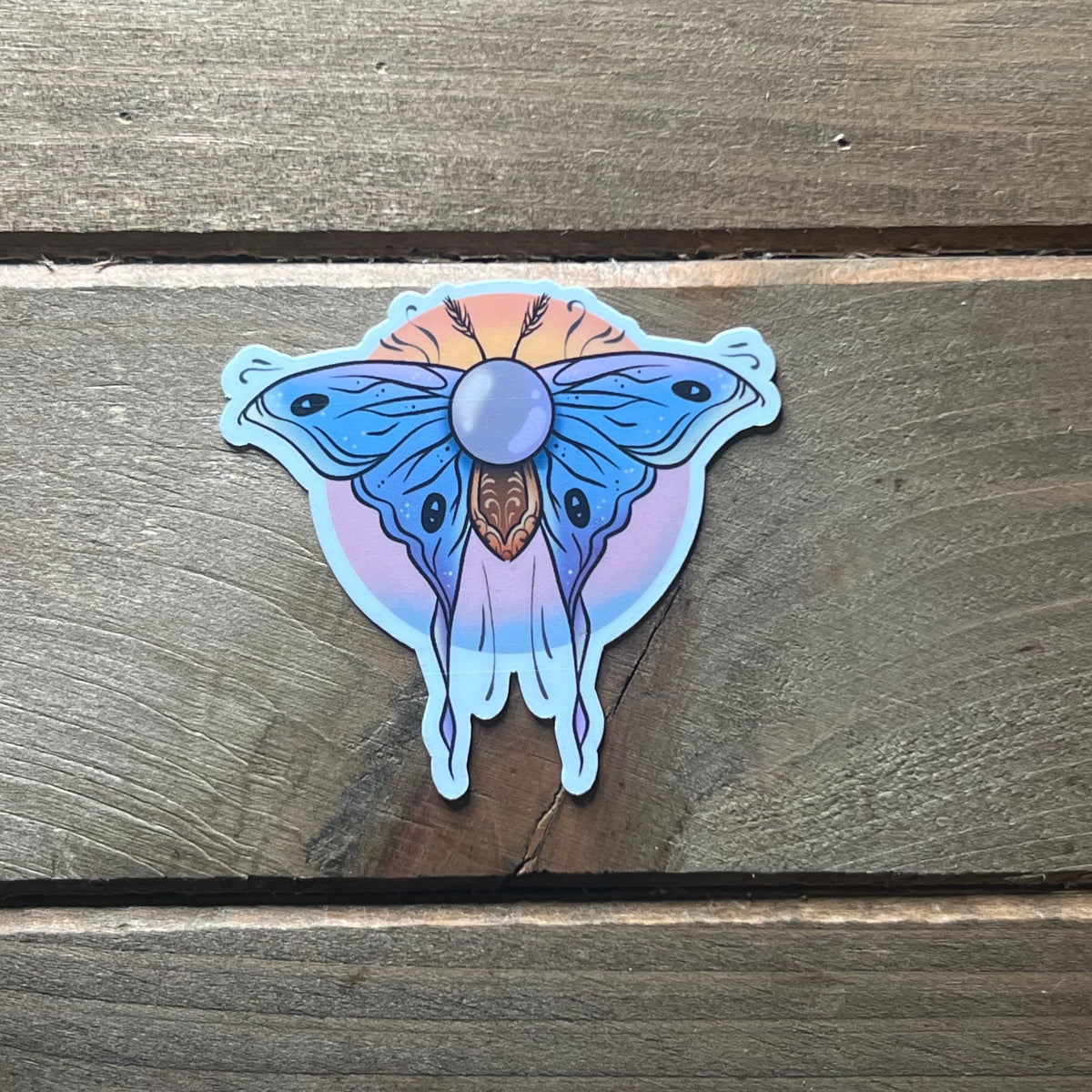 Glimmerwing