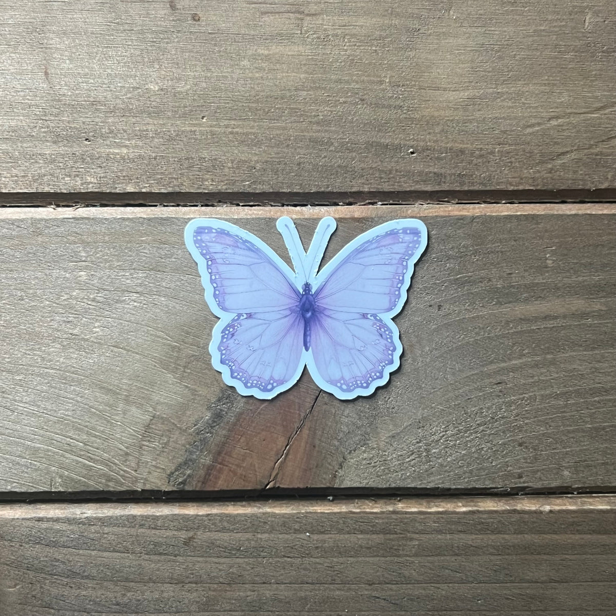 Lilac Flutter
