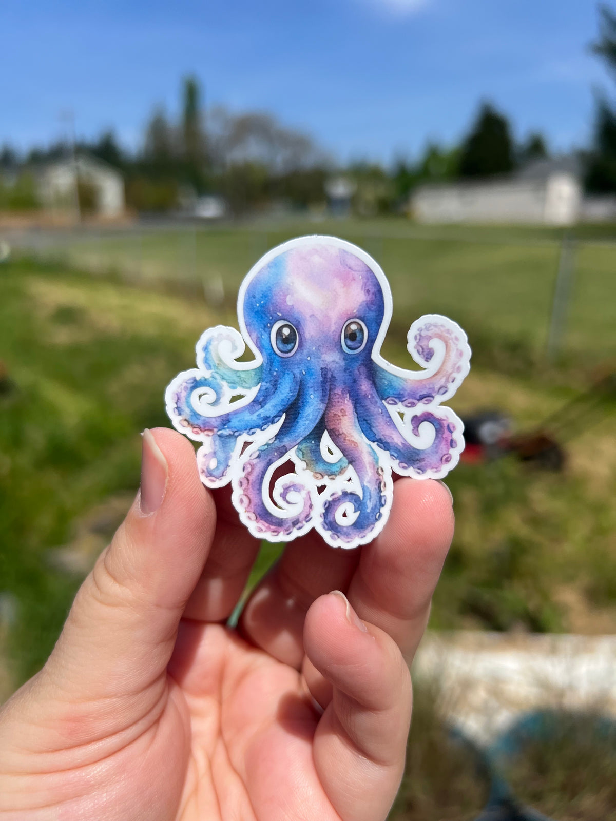 Galaxy Octopus