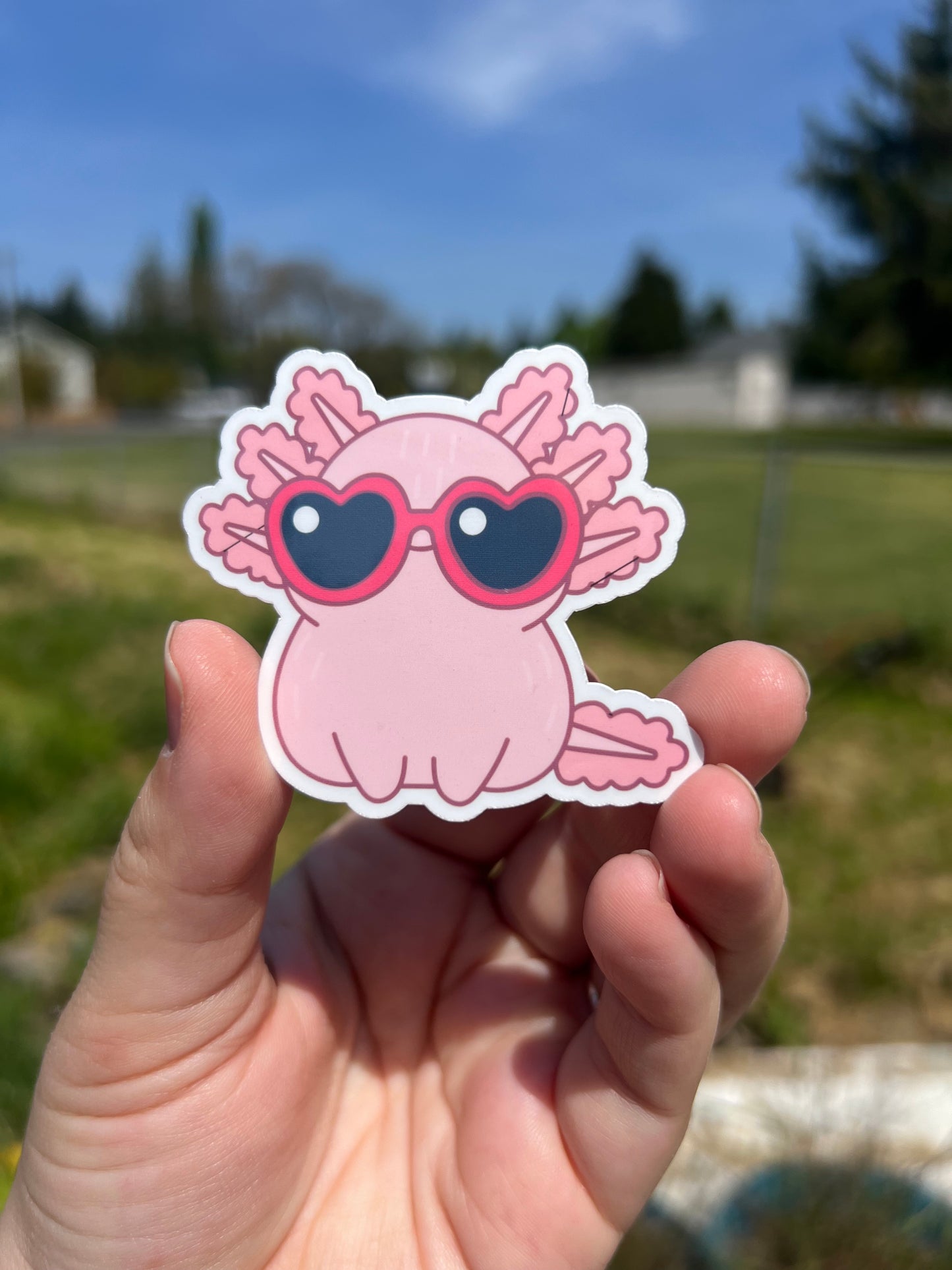 Cool Axolotl