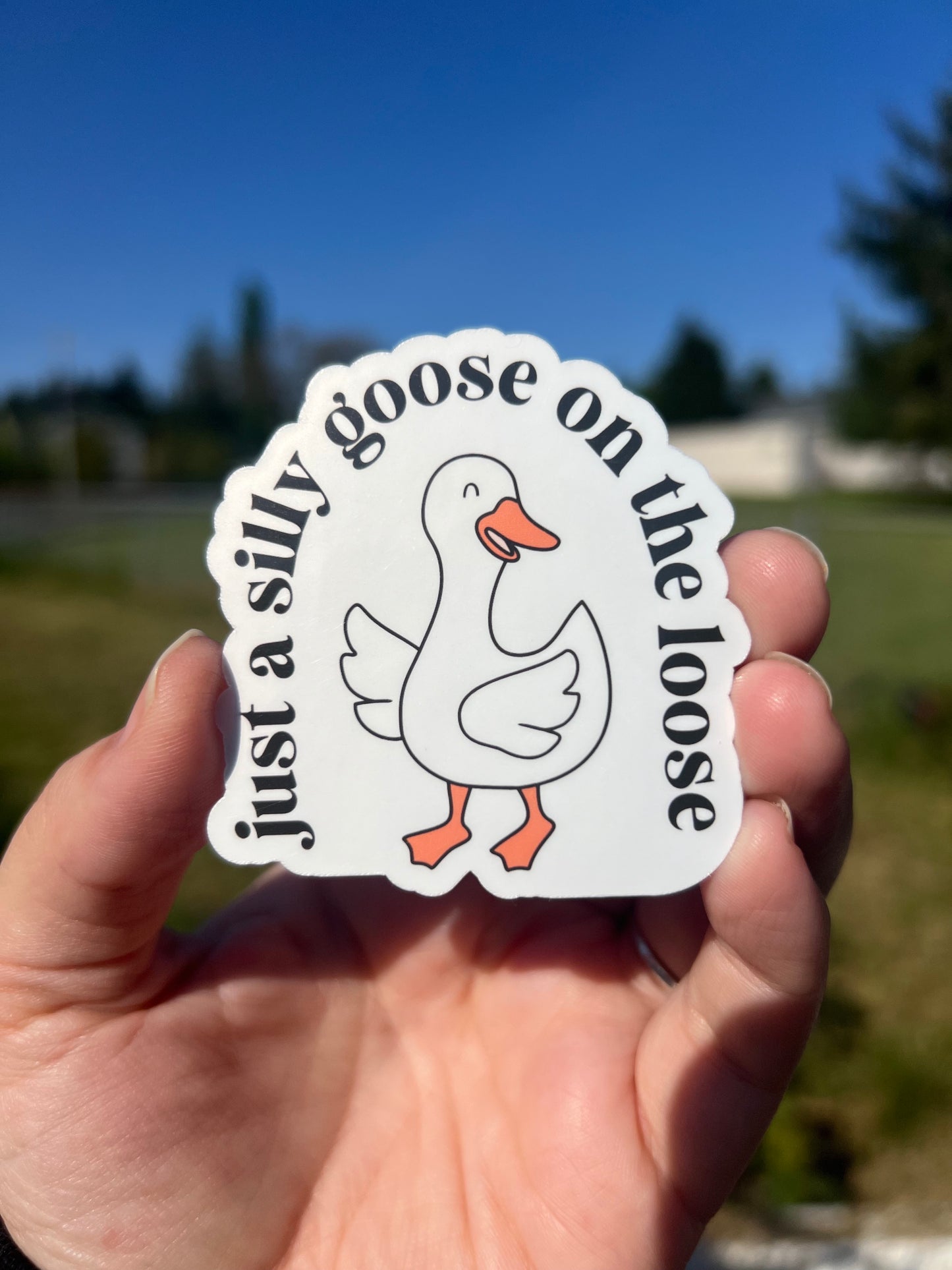 Silly Goose on the Loose