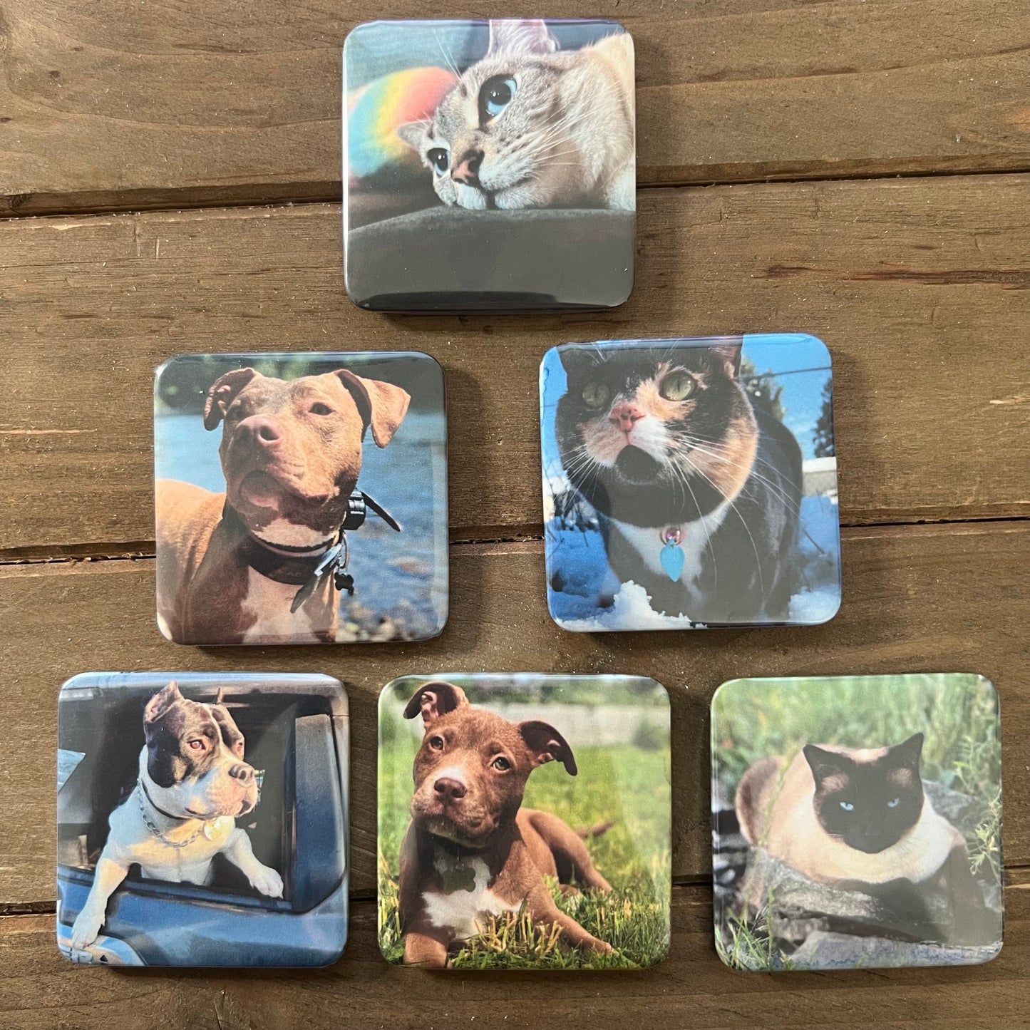 Photo Magnets