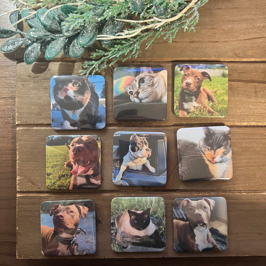 Photo Magnets