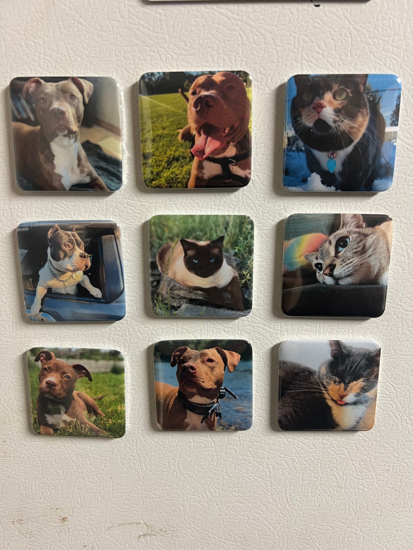 Photo Magnets