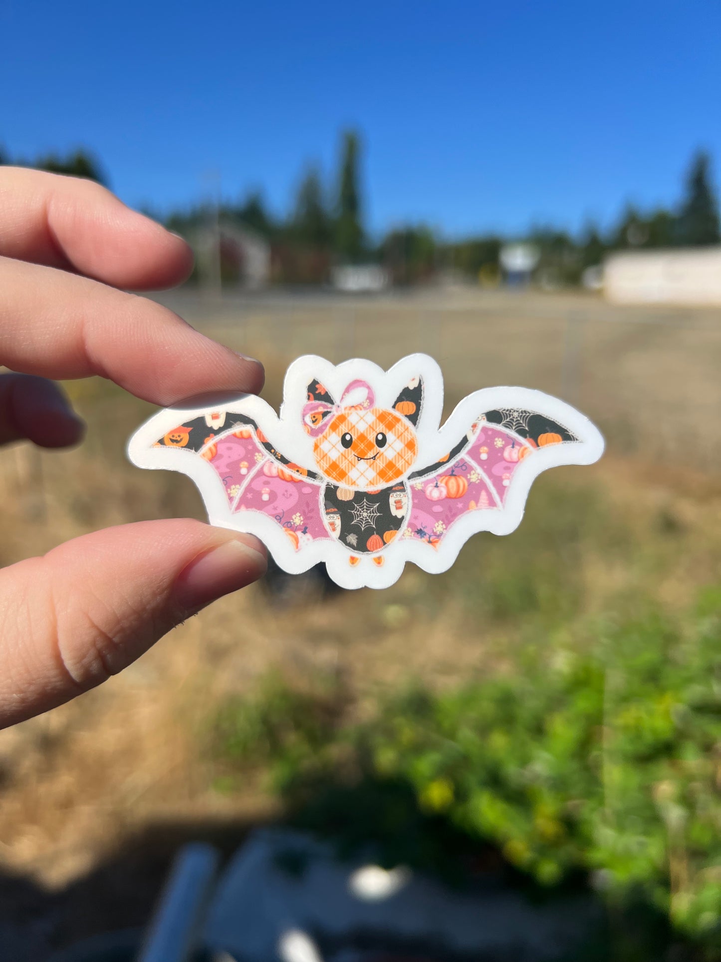 Patchy the Bat