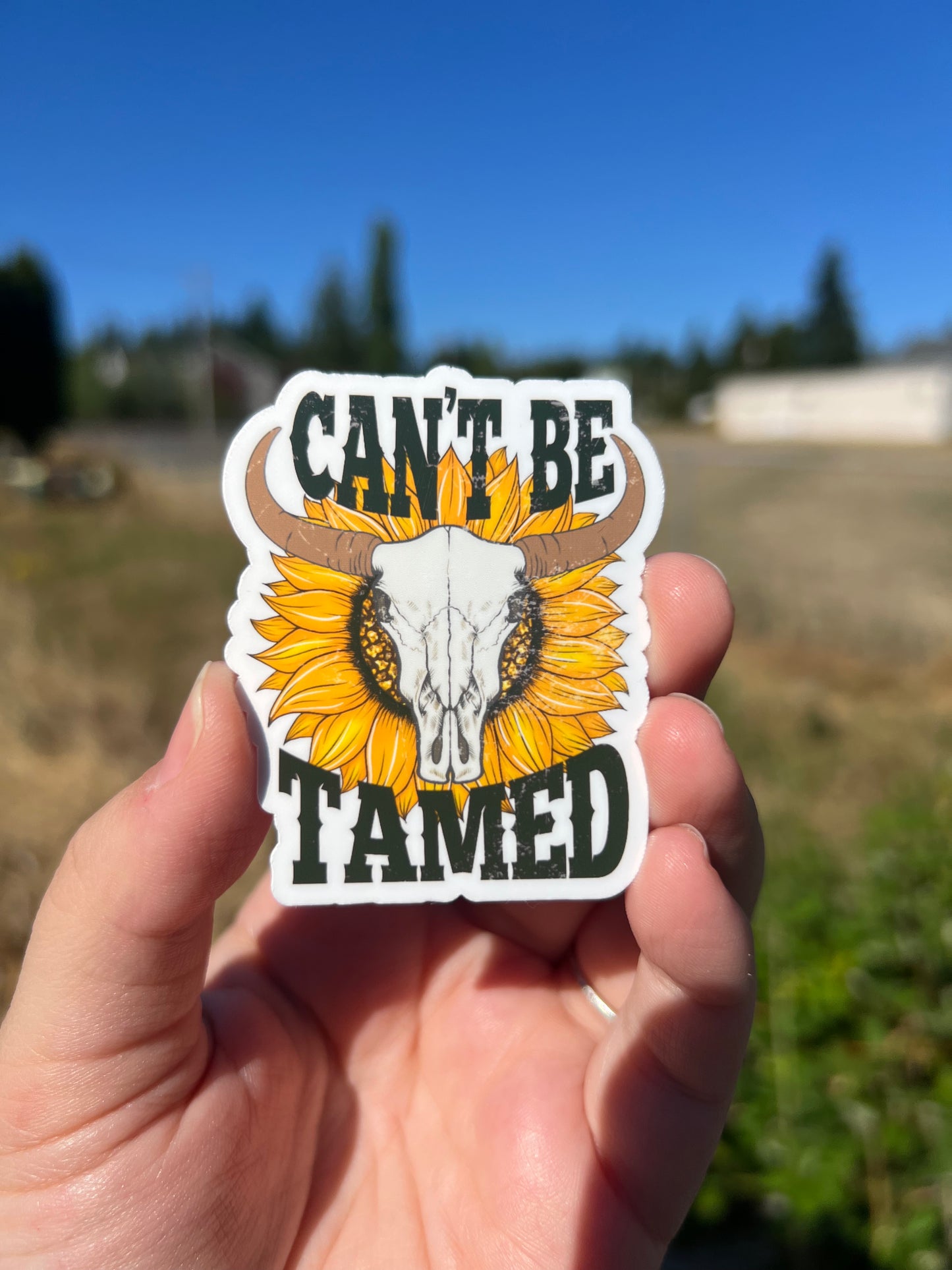 Wild at Heart