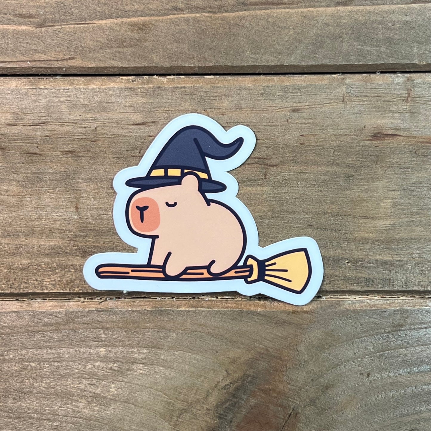 Capy the Friendly Witch