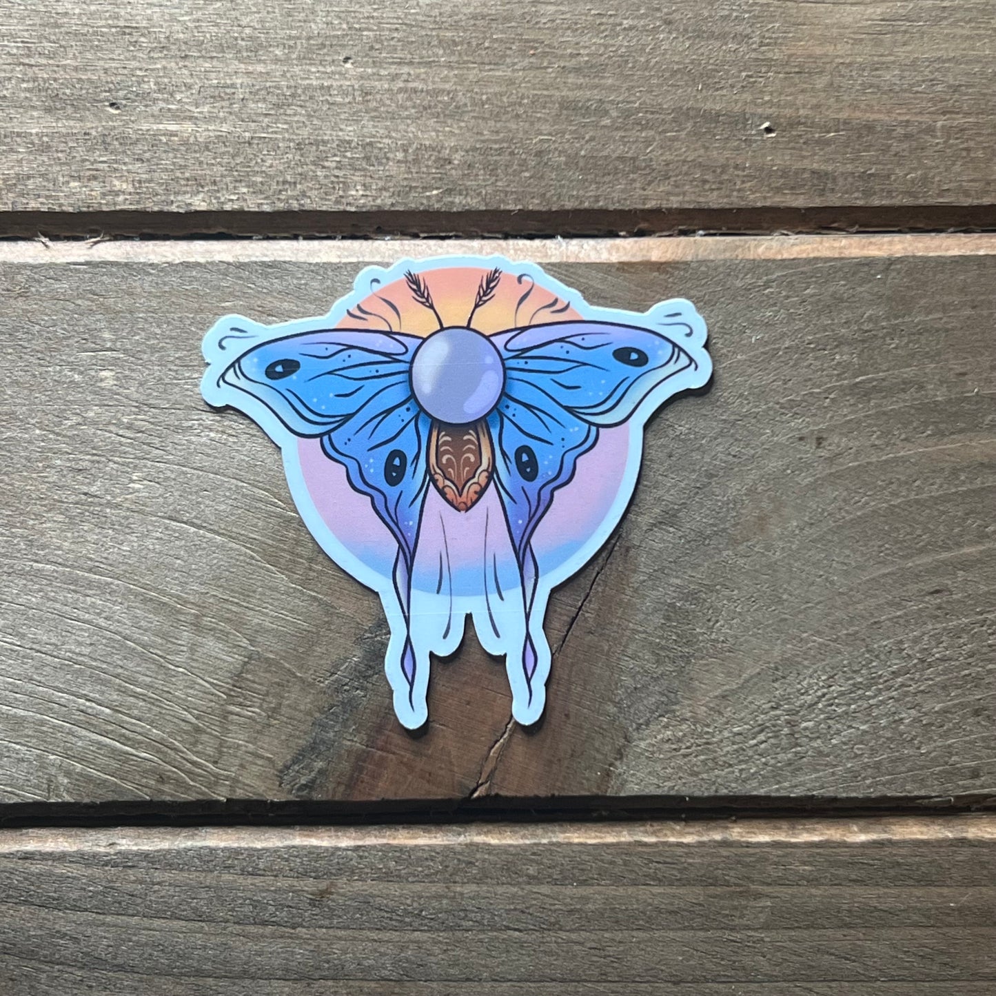 Glimmerwing