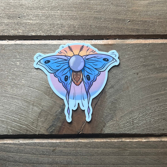 Glimmerwing