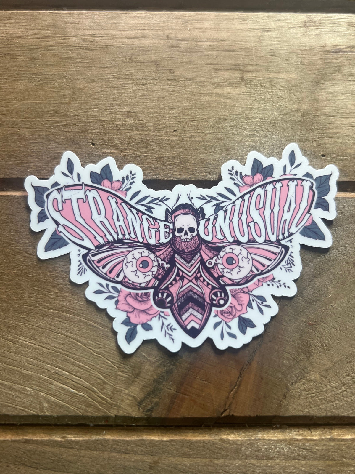 Strange & Unusual Moth