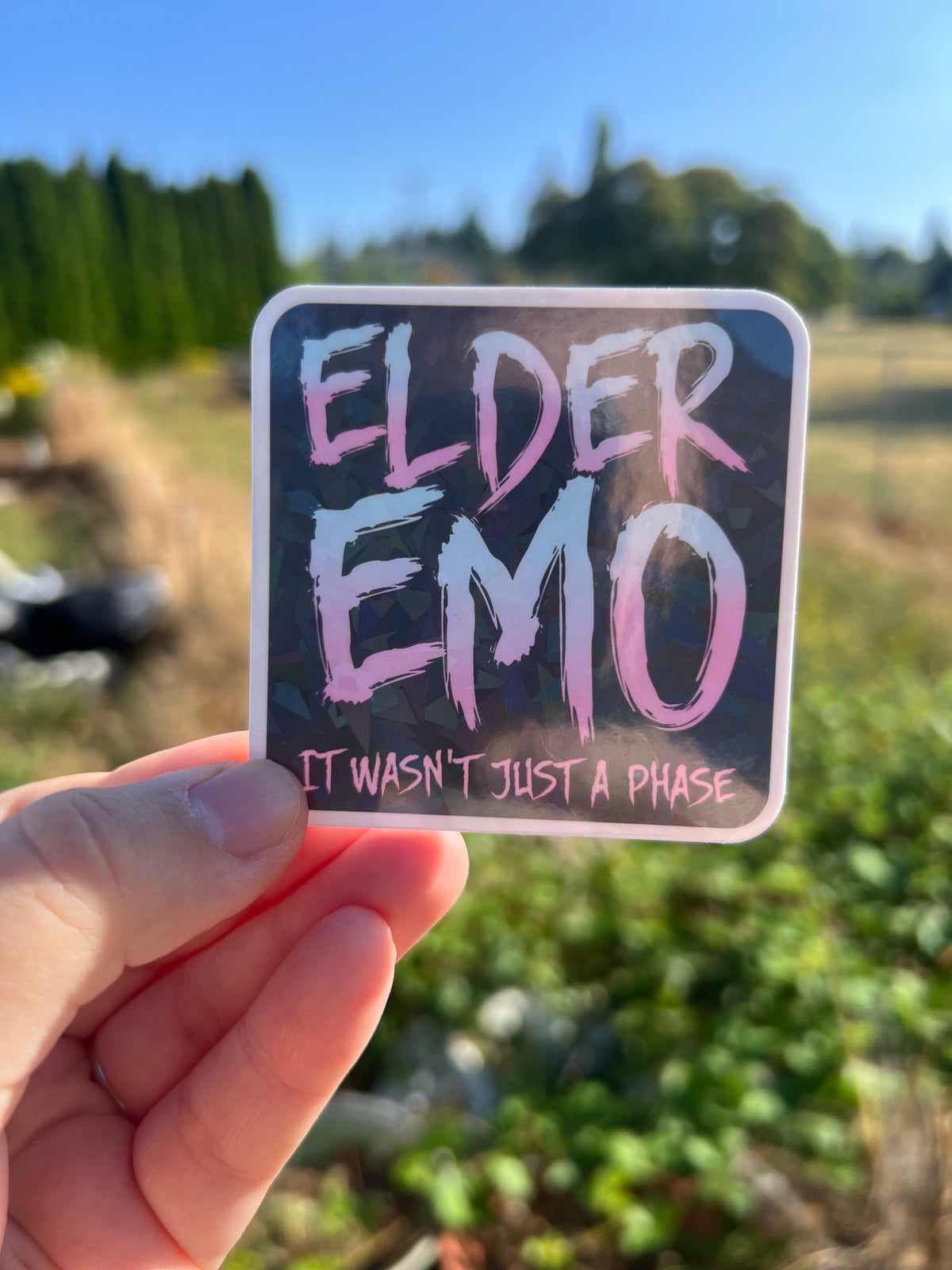 Not a Phase Club