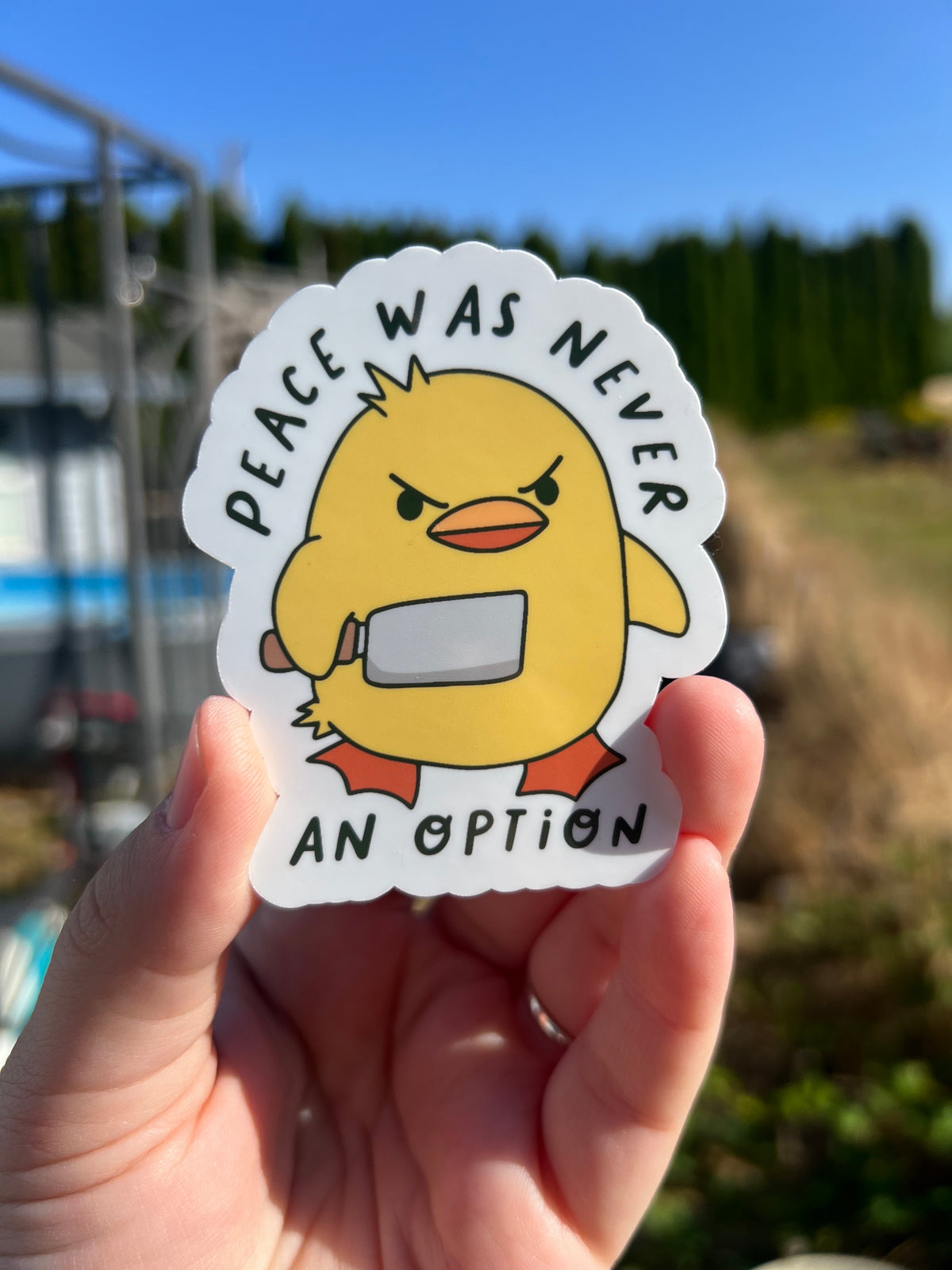 Quack Attack
