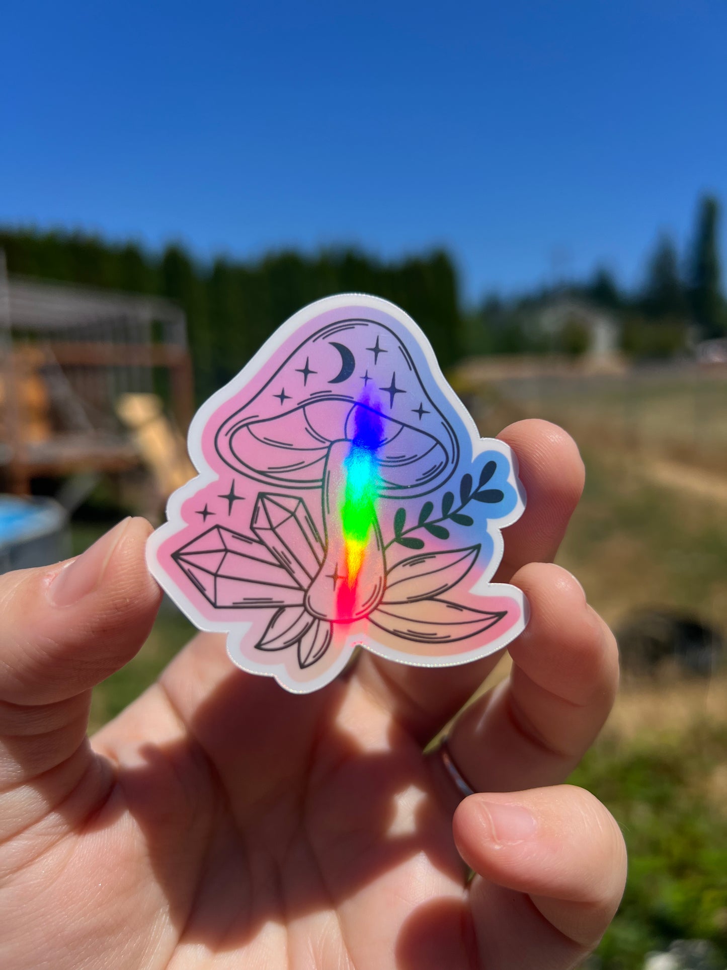 Cosmic Spores