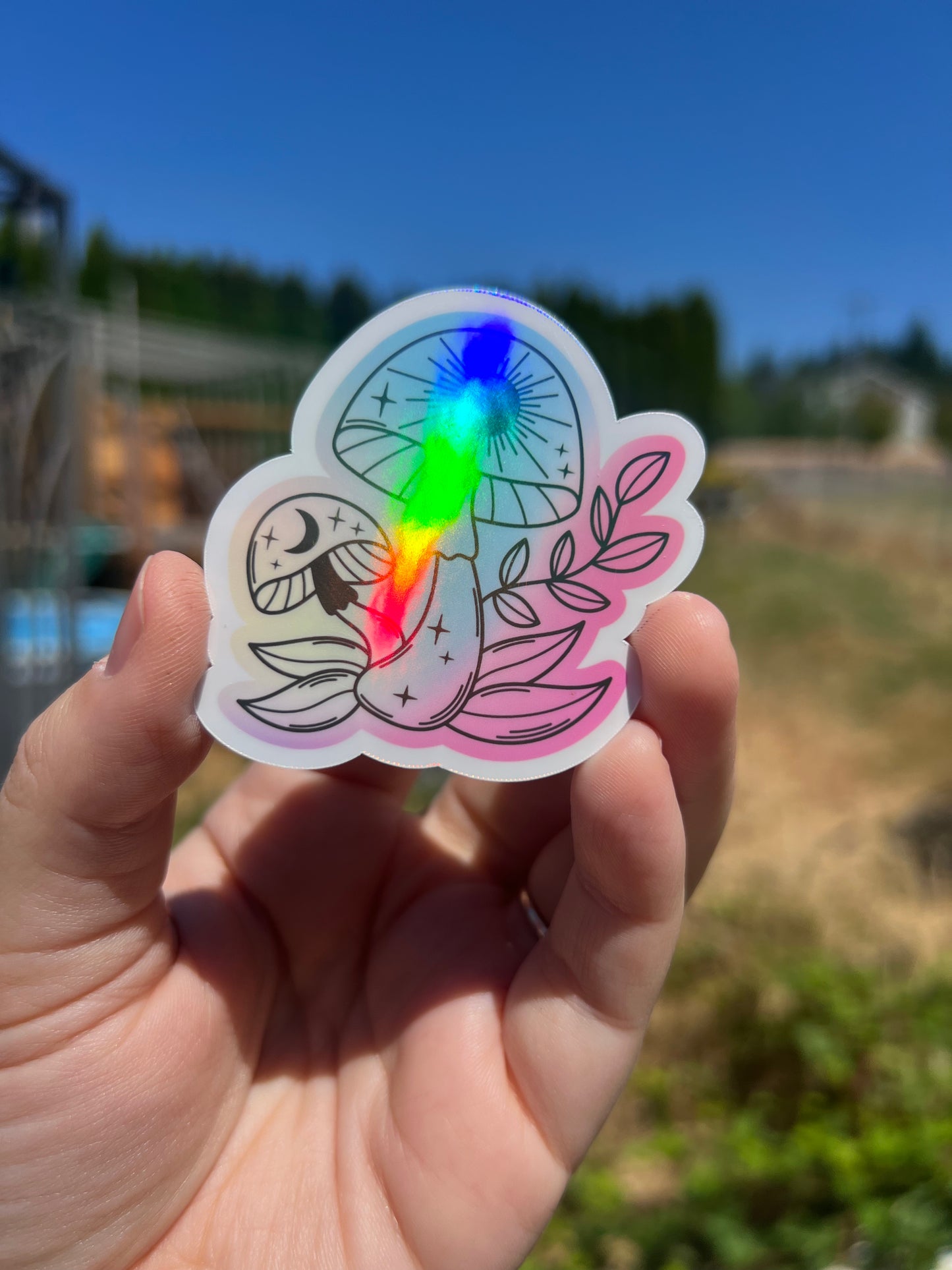 Third Eye Fungi