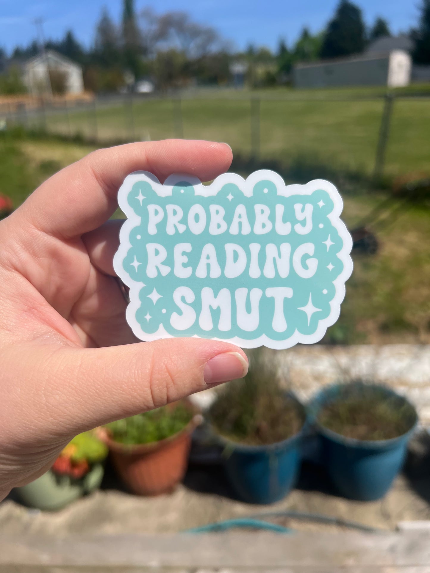 Probably Reading Smut