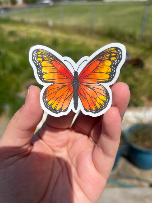 Sunset Wings Butterfly