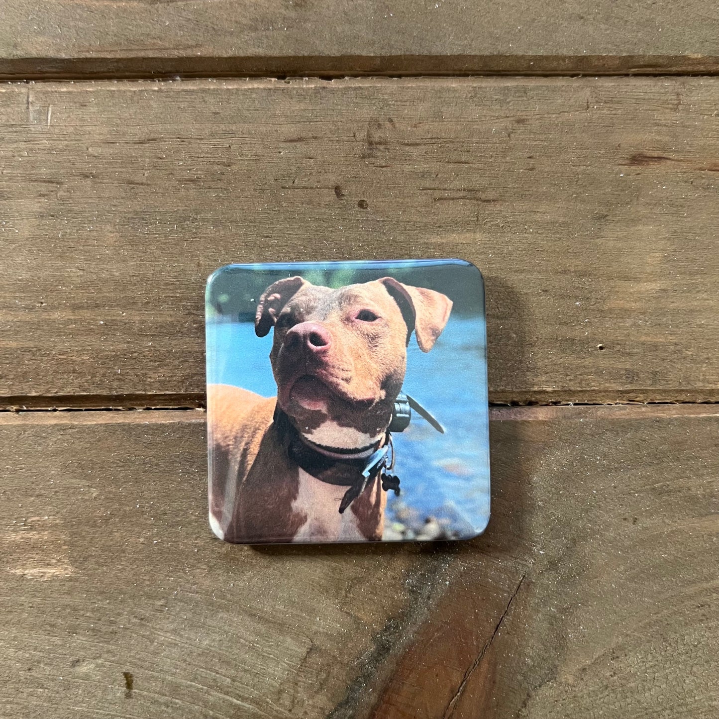 Photo Magnets