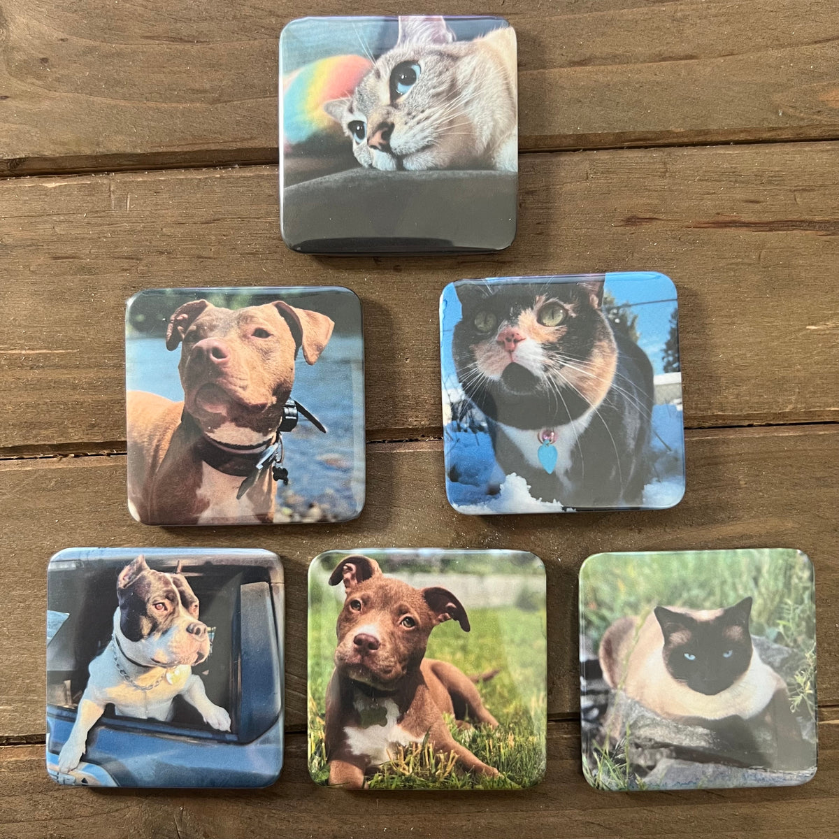 Photo Magnets