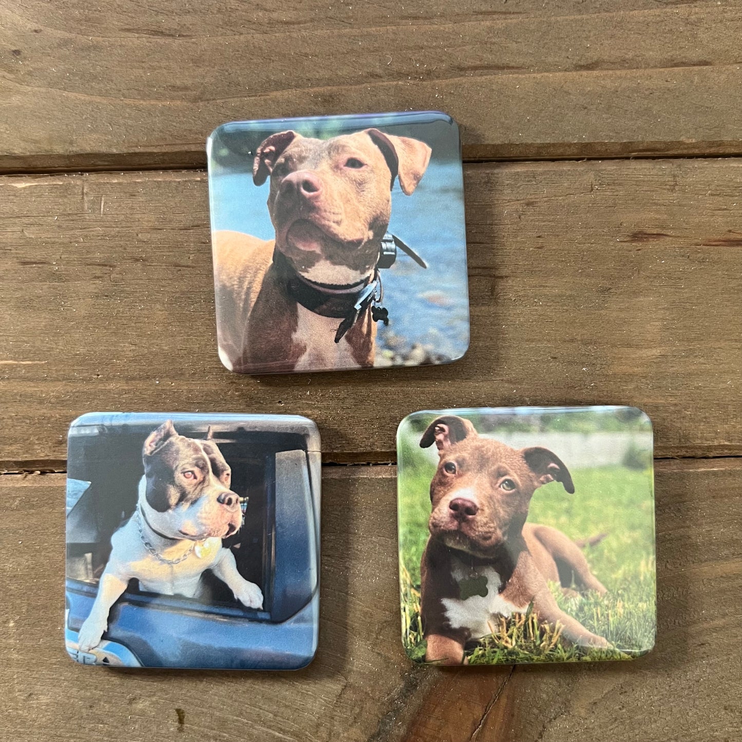 Photo Magnets